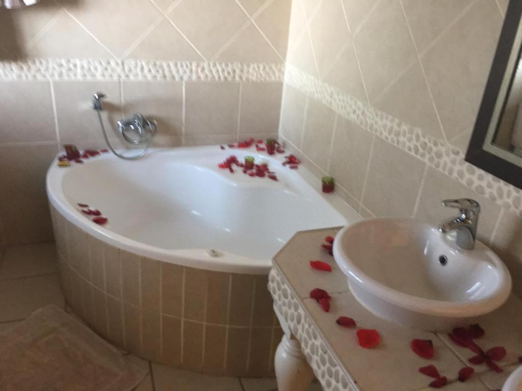 The Lazy Grape Guest Lodge Benoni Extérieur photo